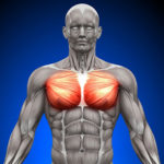 【胸筋トレ】大胸筋を大きくする鍛え方！自宅筋トレで分厚い胸板をつくるやり方とトレーニング！