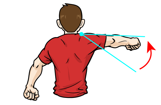 サイドレイズ、三角筋の筋肉の腕の角度：マンガイラストで筋トレ解説